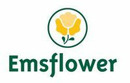 Logo Emsflower GmbH in Emsbüren
